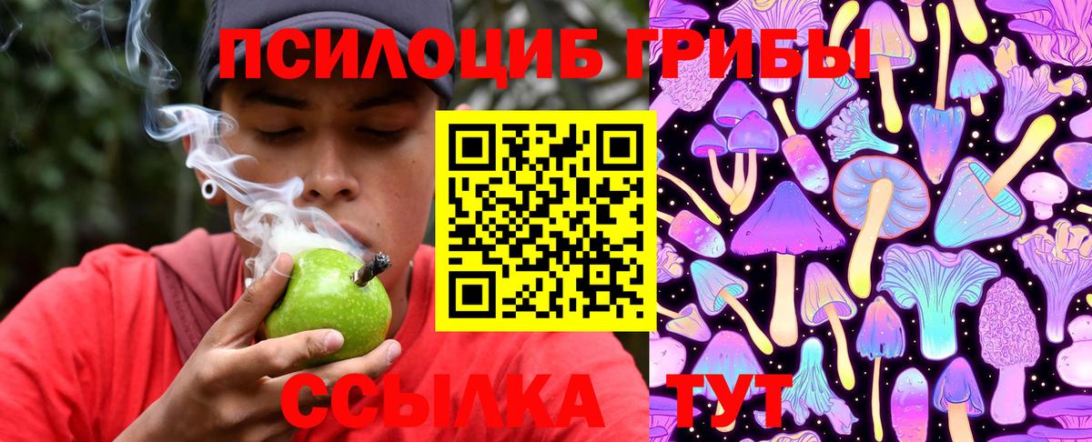 Галлюциногенные грибы Psilocybine cubensis  Вход с VPN  Чайковский 